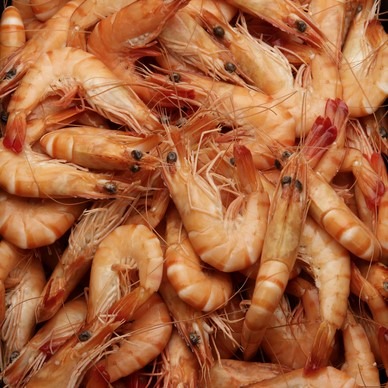 Crevettes roses cuites 25/35 : photo du produit rappelé le 23/07/2026