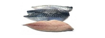 Filet de maquereaux : photo du produit rappelé le 13/08/2026