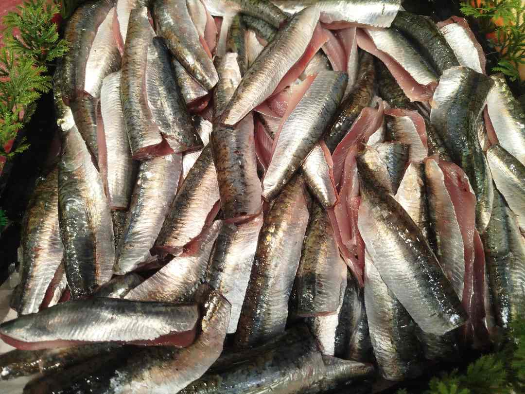Filet de sardine : photo du produit rappelé le 12/05/2026