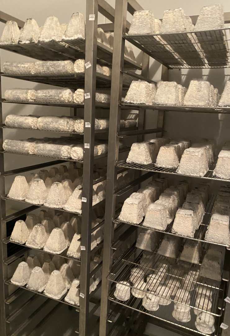 Fromage de chèvre Gaec Aupetit Dubois : photo du produit rappelé le 21/04/2026