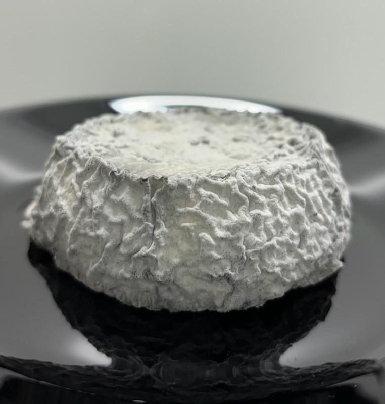 Fromages de chèvre ronds cendrés : photo du produit rappelé le 25/09/2026
