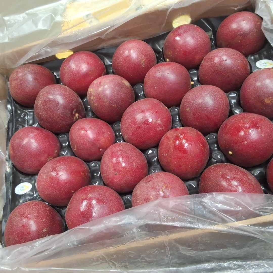 Fruit de la passion vietnam Ant Farm : photo du produit rappelé le 16/09/2026