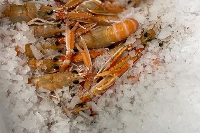 Langoustines glacées 20/40 : photo du produit rappelé le 11/08/2026