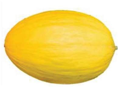 Melon jaune : photo du produit rappelé le 16/07/2026
